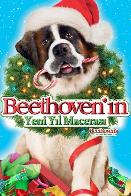 Beethoven'ın Yeni Yıl Macerası
