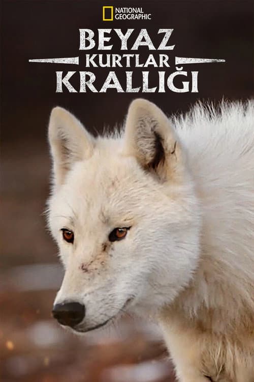 Beyaz Kurtlar Krallığı