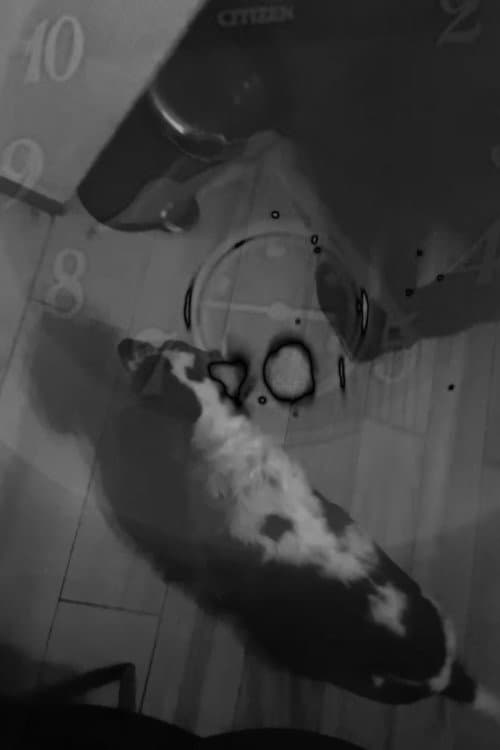TARTA