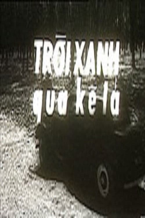 Ván bài lật ngửa 5: Trời xanh qua kẽ lá