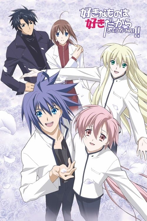 好きなものは好きだからしょうがない！！