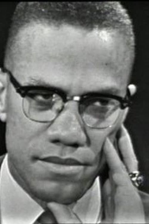 The Negro and the American Promise