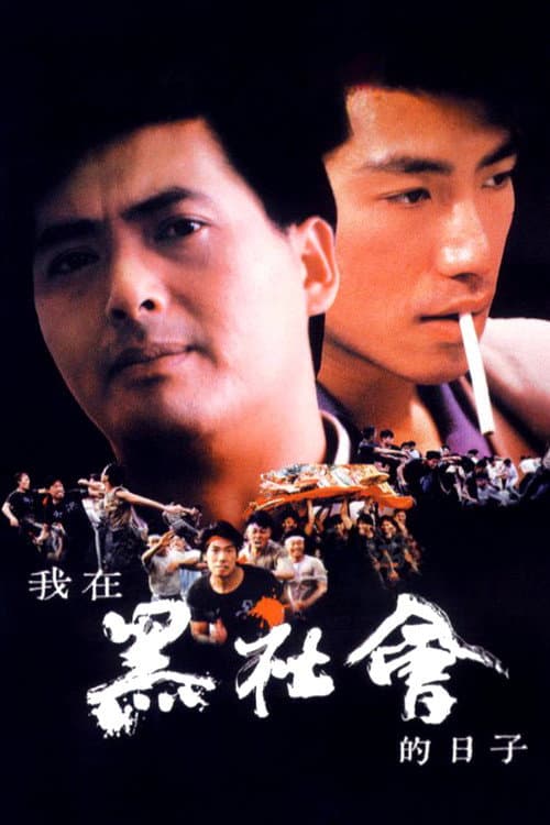我在黑社會的日子