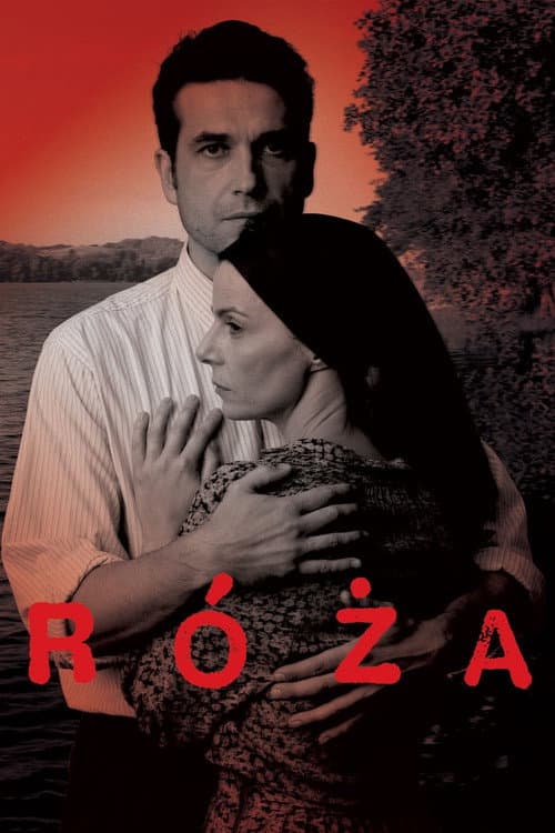Róża