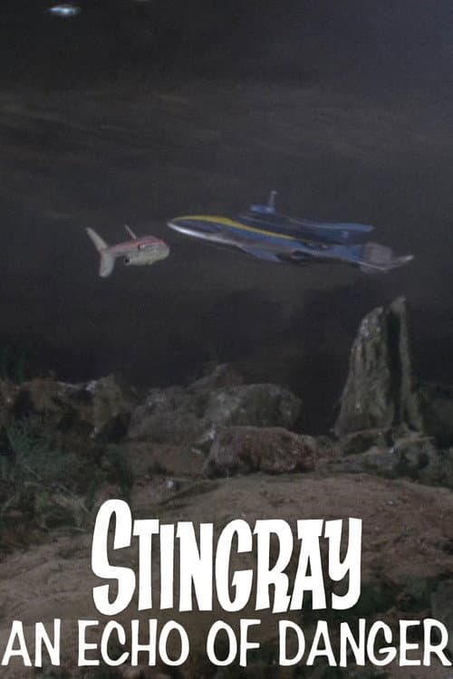 Stingray: An Echo of Danger