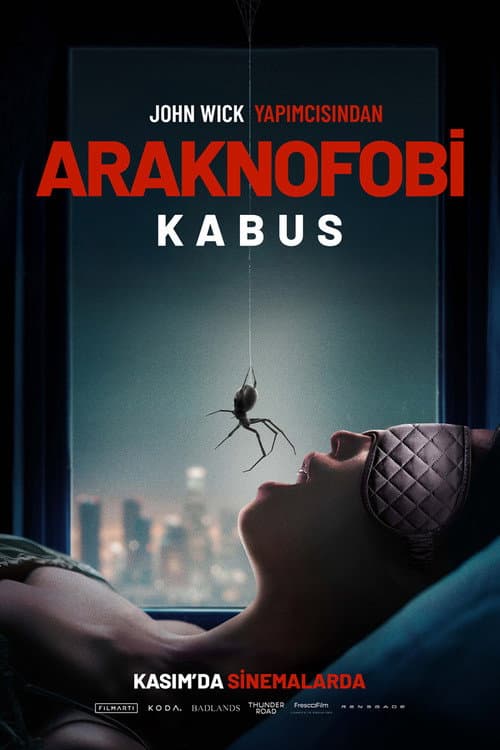 Araknofobi: Kabus