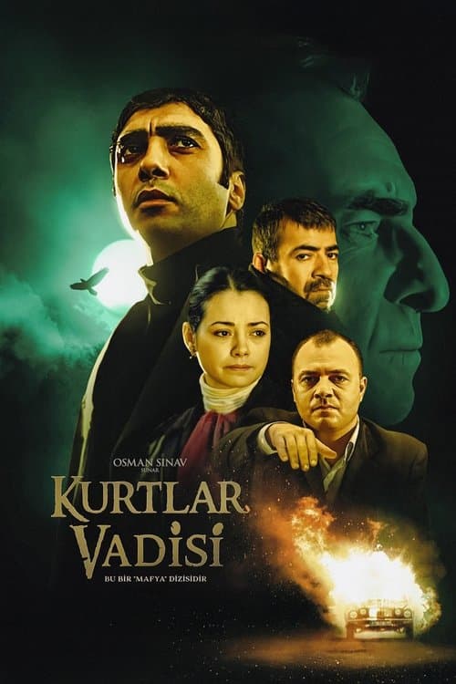 Kurtlar Vadisi