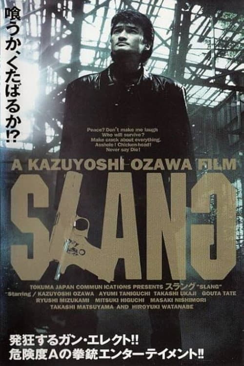 SLANG 黄犬群