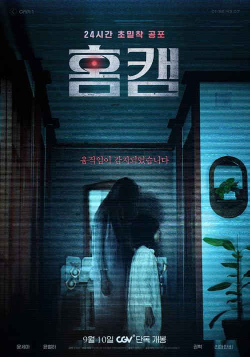 홈캠