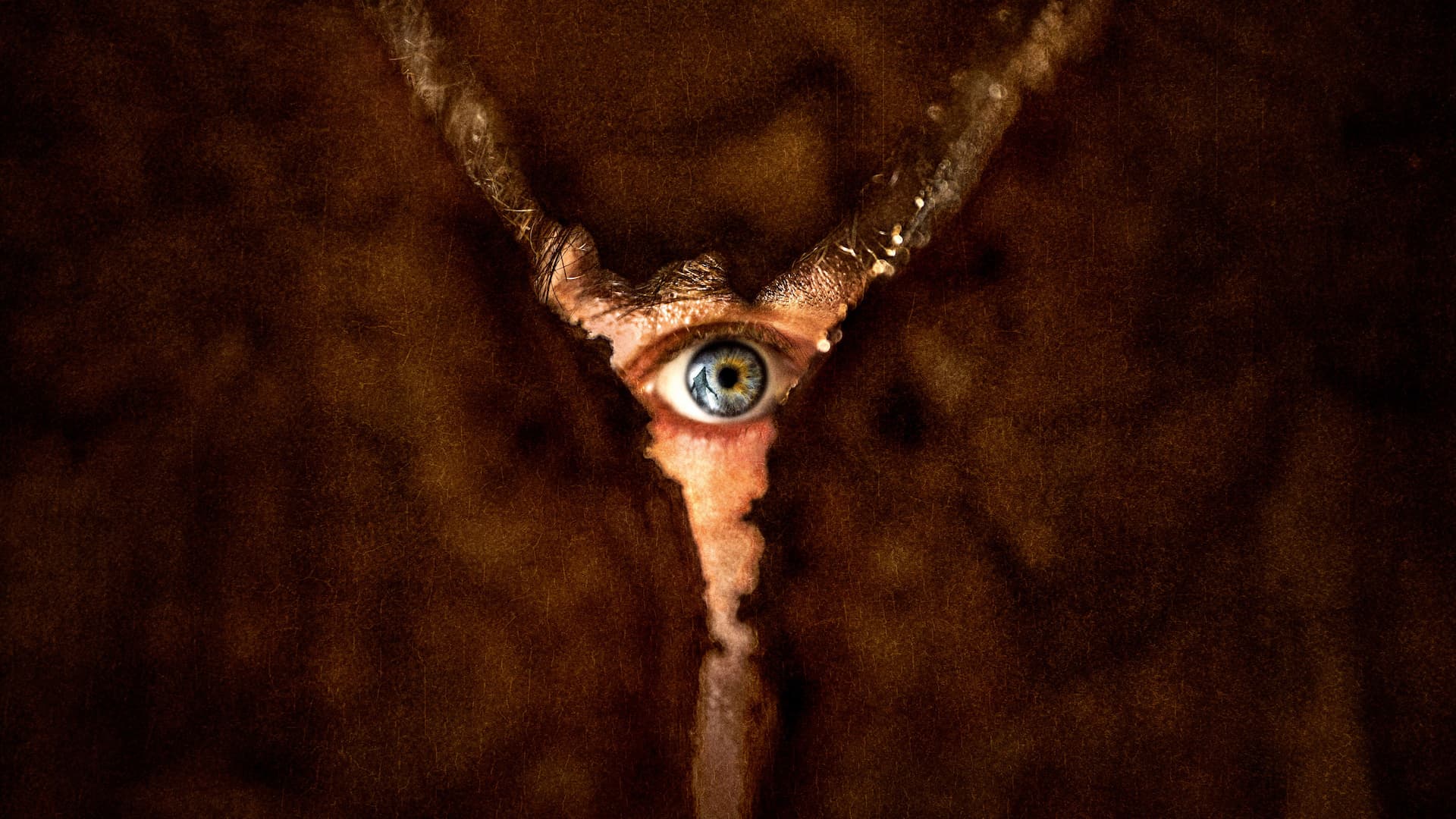 Sessiz Tepe: Dönüş