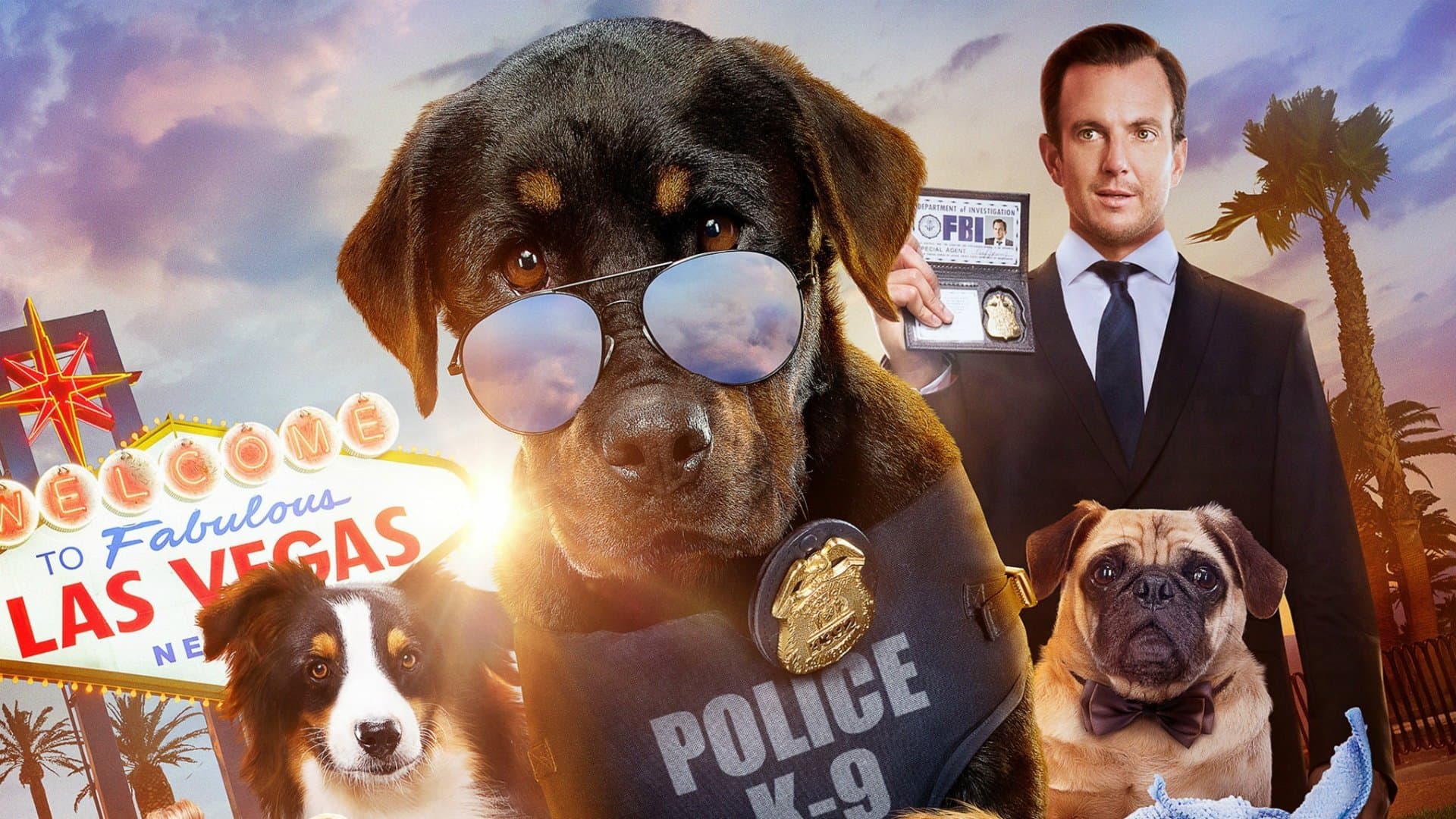 Gösteri Köpekleri