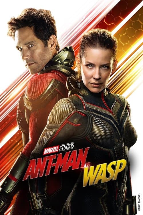 Ant-Man ve Wasp